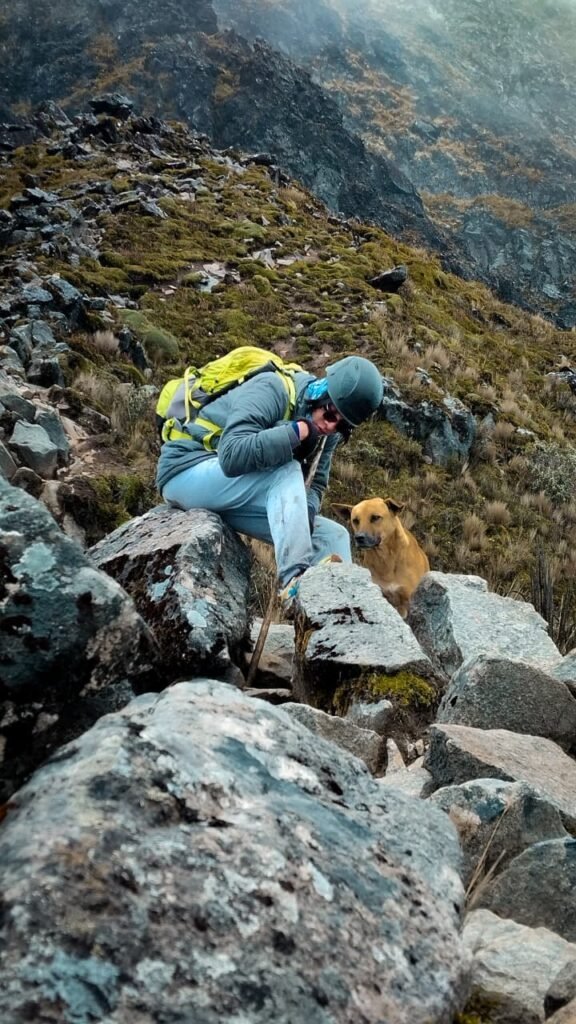 WhatsApp Image 2025-08-05 at 12.12.09 AM